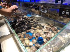 -加餐海鲜自助(宝龙一城店)