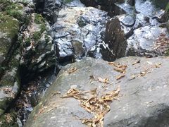 -藏龙百瀑风景区