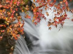 -京都御所