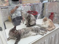 -北京华联购物中心(天通苑店)