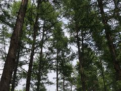 -白草畔自然风景区