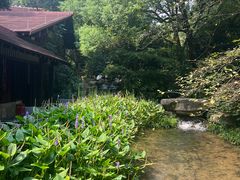 -中国茶叶博物馆(双峰馆区)