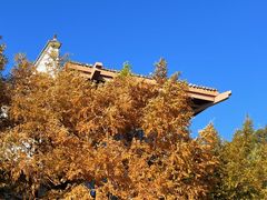 -塔川景区