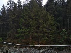 -硗碛藏寨·神木垒景区