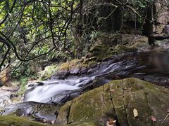 -鼎湖山风景区