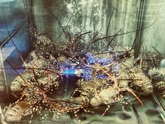 -旅南活海鲜-屏东(墾丁海鮮，海鮮餐廳，墾丁團體合菜，平價熱炒，墾丁熱炒店，活海鮮推薦，在地海鮮餐廳)