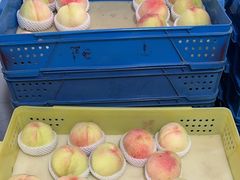 -老袁家蜜桃农场·阳山水蜜桃