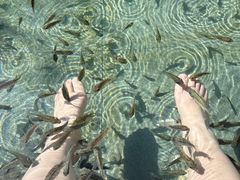 -咸宁万豪温泉谷度假区