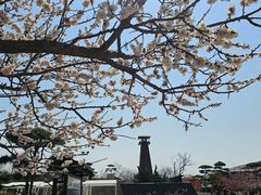 -大堂吧(大连金石滩绿发希尔顿度假酒店)