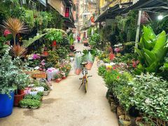 -循礼门鲜花花市(武汉循礼门店)