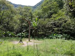 -白云源风景区