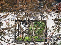 -上海醉白池公园
