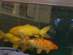 -秦记香辣蟹(松榆里店)