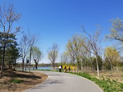 -东郊湿地公园