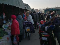 -何庄子阿米玛玛农产品批发市场
