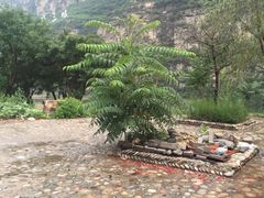 -十渡东湖港风景区