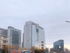 -中关村茶点