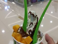 -Salud撒露欧洲冻酸奶(蓝色港湾店)