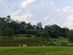 -国恩寺