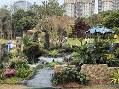 -南宁南湖公园