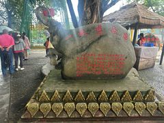 -一寨两国风景区