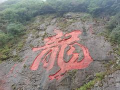 -白云源风景区
