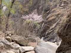 -黑龙潭风景区