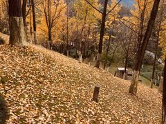 -龙头寺公园
