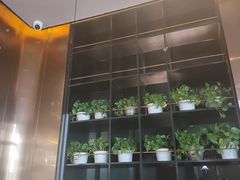 -吉布鲁牛排海鲜自助(温江合生汇店)