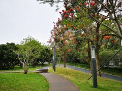 -四海公园(南山区)