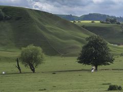 -新疆那拉提国家旅游度假区