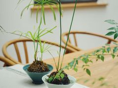 -汉唐驿-唐风美学民宿