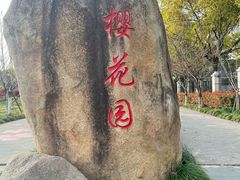 -高东镇樱花园