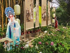 -广西壮族自治区药用植物园