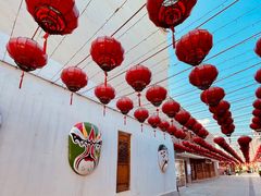 -洋湖国家湿地公园