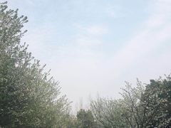 -西南政法大学(渝北校区)
