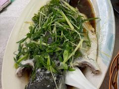 清蒸泉水鲩鱼-成惠食府(赤岗店)
