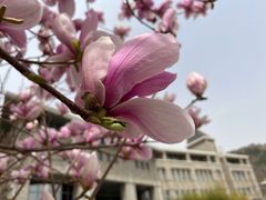 -大连东软信息学院(软件园校区)