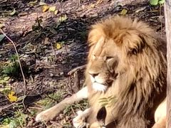 -哈尔滨北方森林动物园