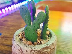 -Famous肥猫墨西哥音乐餐吧(五棵松华熙LIVE店)