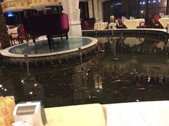 -碧中海汤泉汗蒸酒店