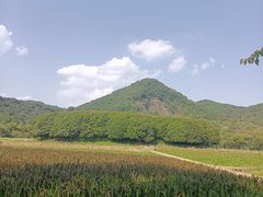-八卦田遗址公园
