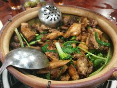 -华仔土鸡店(南洲分店)