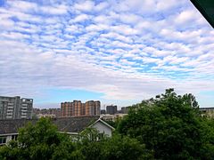 -成都工业学院(郫都校区)
