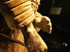 -秦始皇帝陵博物院(兵马俑)