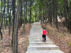 -火炉山森林公园