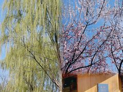 -三里河公园