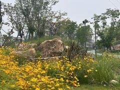 -宁波儿童公园(鄞州区)