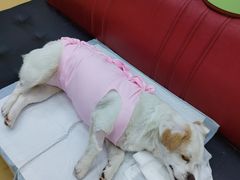 -瑞派天宁宠物医院·猫科·异宠中心