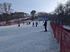 -东北亚滑雪场